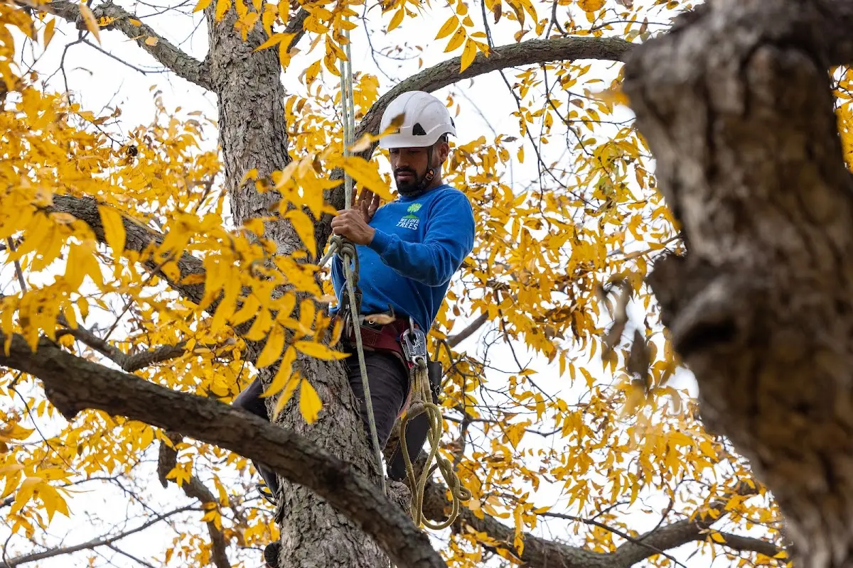 Skilled Storm Damage Cleanup crew working in Duncan